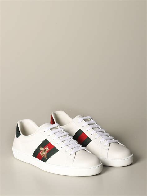 chaussure gucci abeille homme